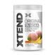 Xtend Original 30serv - 441g Mango Madness 100-38-8005030-20 фото 1