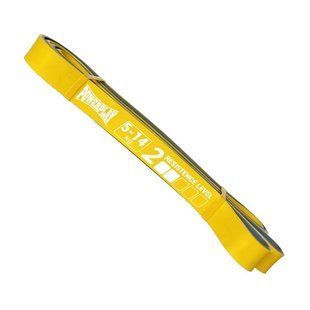 PowerPlay PowerPlay 4116 Double Colors Band Yellow/Gray (5-14 kg) 24279-01 фото