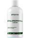 Sporter Liquid Chlorophyll 300 мл, М'ята 01973 фото 1