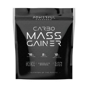 Carbo Mass Gainer - 2000g Hazelnut 100-58-2605186-20 фото