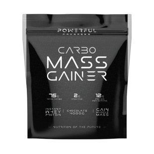 Carbo Mass Gainer - 4000g Hazelnut 100-32-9046673-20 фото