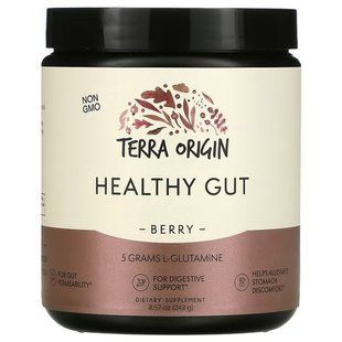 Terra Origin Healthy Gut 243 грам, Ягода TEO-00748 фото