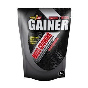 Gainer - 1000g Wild Berry 2023-10-6109 фото
